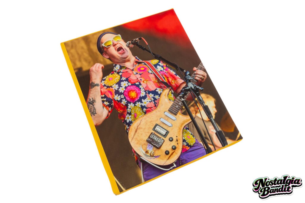Modest Mouse | Isaac Brock Stage-Used Telefunken M80 Microphone (circa 2018)