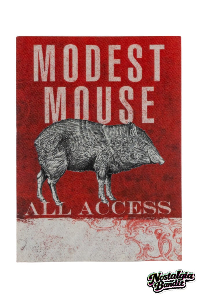 Modest Mouse | Isaac Brock Stage-Used Telefunken M80 Microphone (circa 2018)