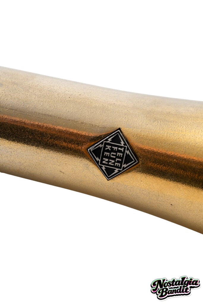Modest Mouse | Isaac Brock Stage-Used Telefunken M80 Microphone (circa 2018)