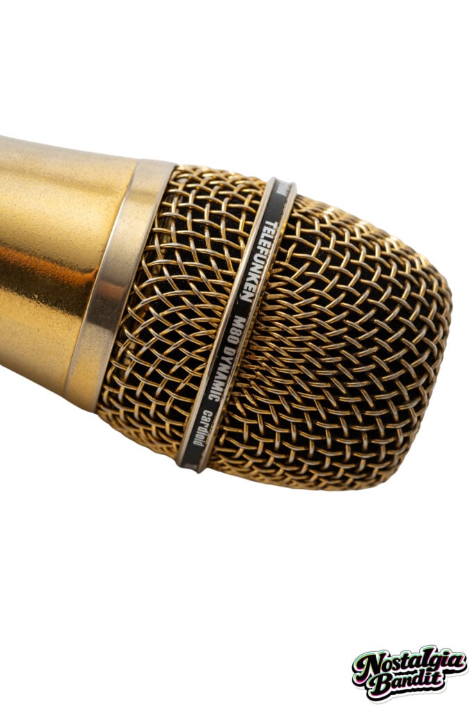 Modest Mouse | Isaac Brock Stage-Used Telefunken M80 Microphone (circa 2018)