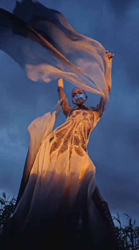 Grimes | 2021 Met Gala Worn & Screen-Matched Sofia Pavlova Romantic Elf Jewelry "Elven Ears"