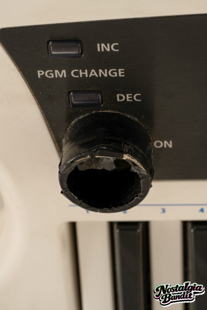 Black Eyed Peas | will.i.am & Printz Board Stage-Played Roland AX-Synth Keytar (2009-2011)