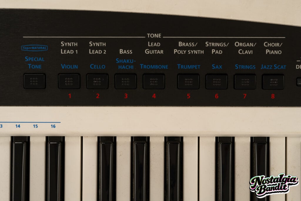 Black Eyed Peas | will.i.am & Printz Board Stage-Played Roland AX-Synth Keytar (2009-2011)