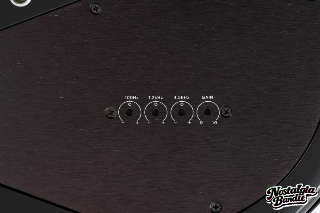 No Doubt | Tom Dumont Stage-Played Hamer Duo-Tone Electric/Acoustic Guitar (2012)