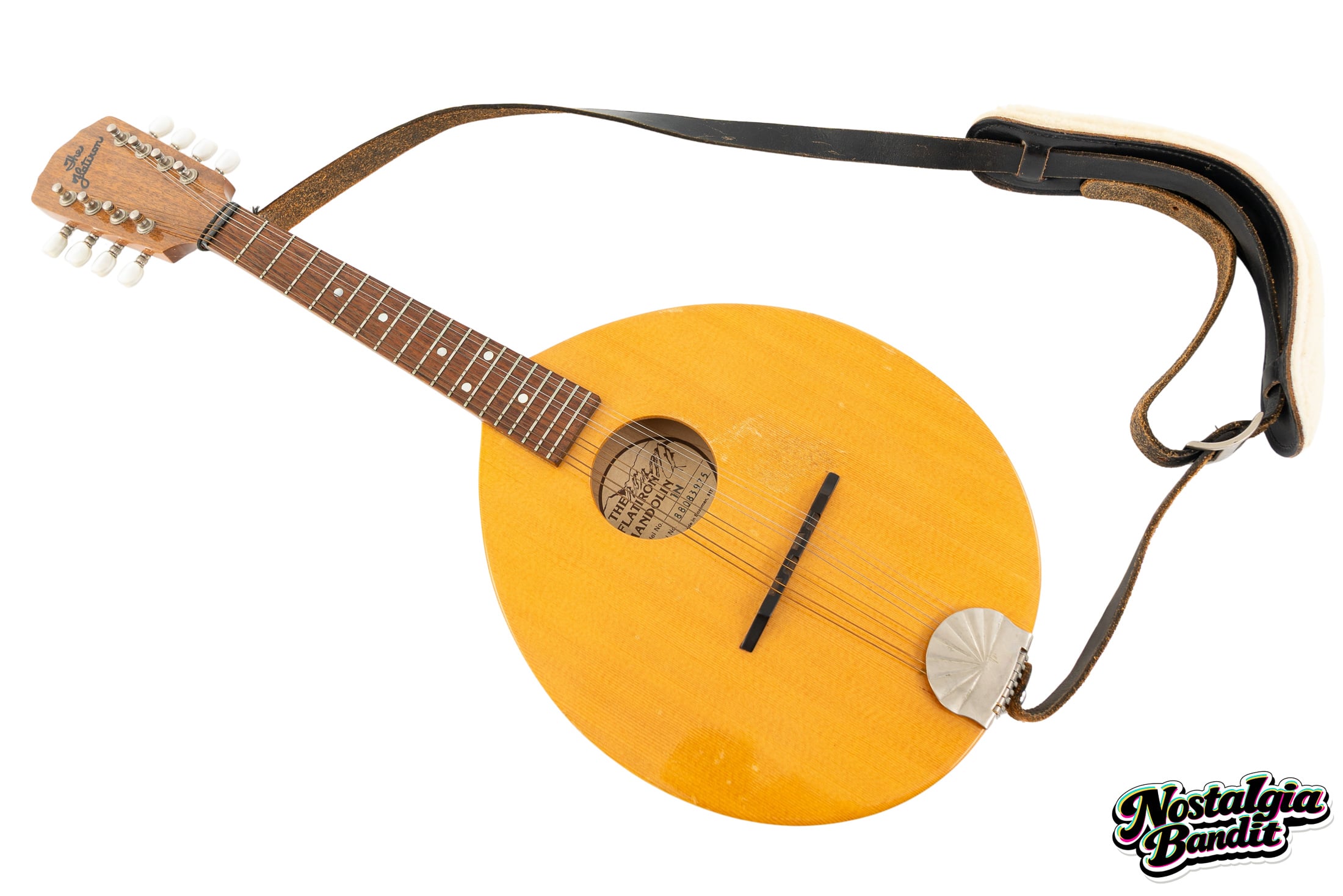 Nostalgia Bandit Auction - The Goo Goo Dolls | Tim Pierce "Iris" Studio-Used, Photo-Matched Flatiron Mandolin (1998)