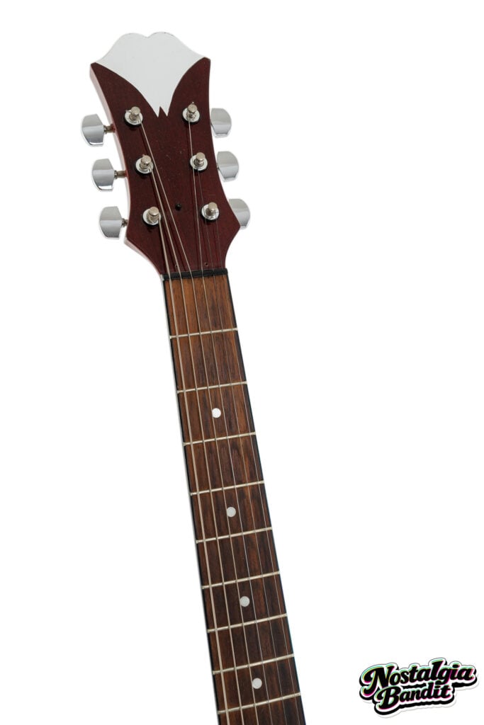 The Flaming Lips | Wayne Coyne "Do You Realize??" Music Video-Used Epiphone Acoustic Guitar (2002)