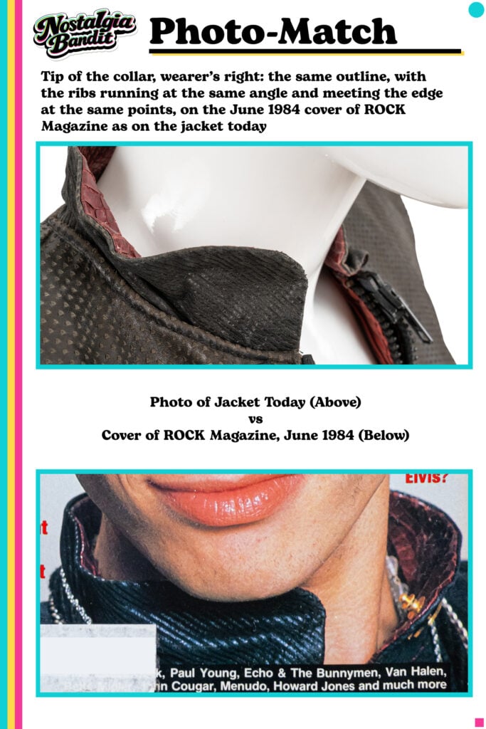 Billy Idol Photo-Match Comparison